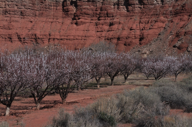 Lonely Dell Ranch